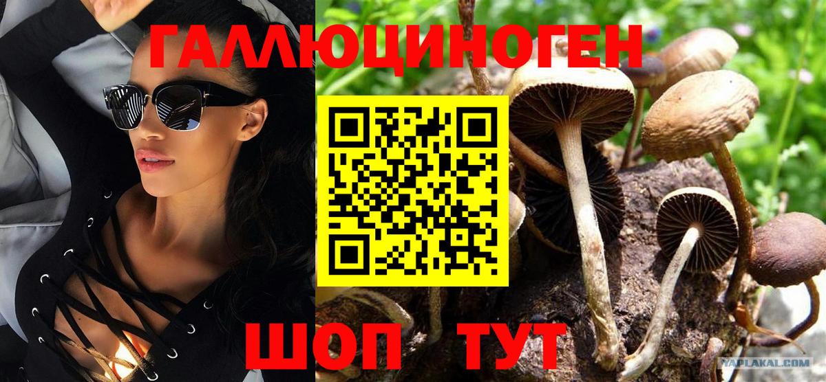 Псилоцибиновые грибы мухоморы Нововоронеж