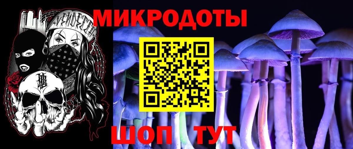 Псилоцибиновые грибы мицелий  купить наркотик  Нововоронеж  Вход с VPN 